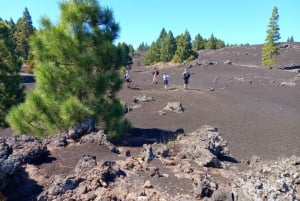 Wandelen op klassiek Tenerife