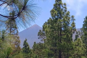 Hike Classic Tenerife