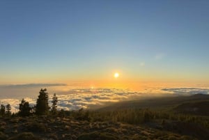 Hike under stars and Skywatching with astronomer at Teide