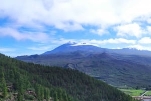 Santiago del Teide: Senderismo Bosque Encantado de Masca