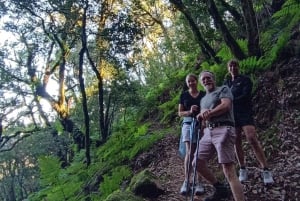 Santiago del Teide: Senderismo Bosque Encantado de Masca