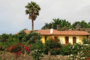 Icod de los Vinos: ingresso e excursão para o mundo da boneca ARTlandya