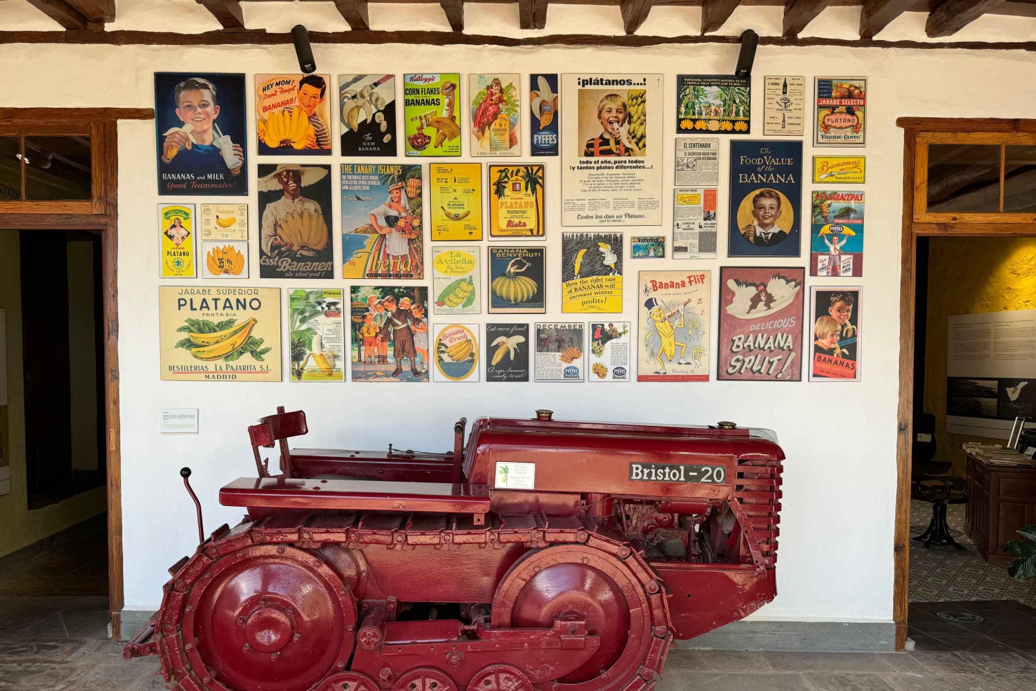 Icod de los Vinos: Casa del Plátano Ticket de entrada