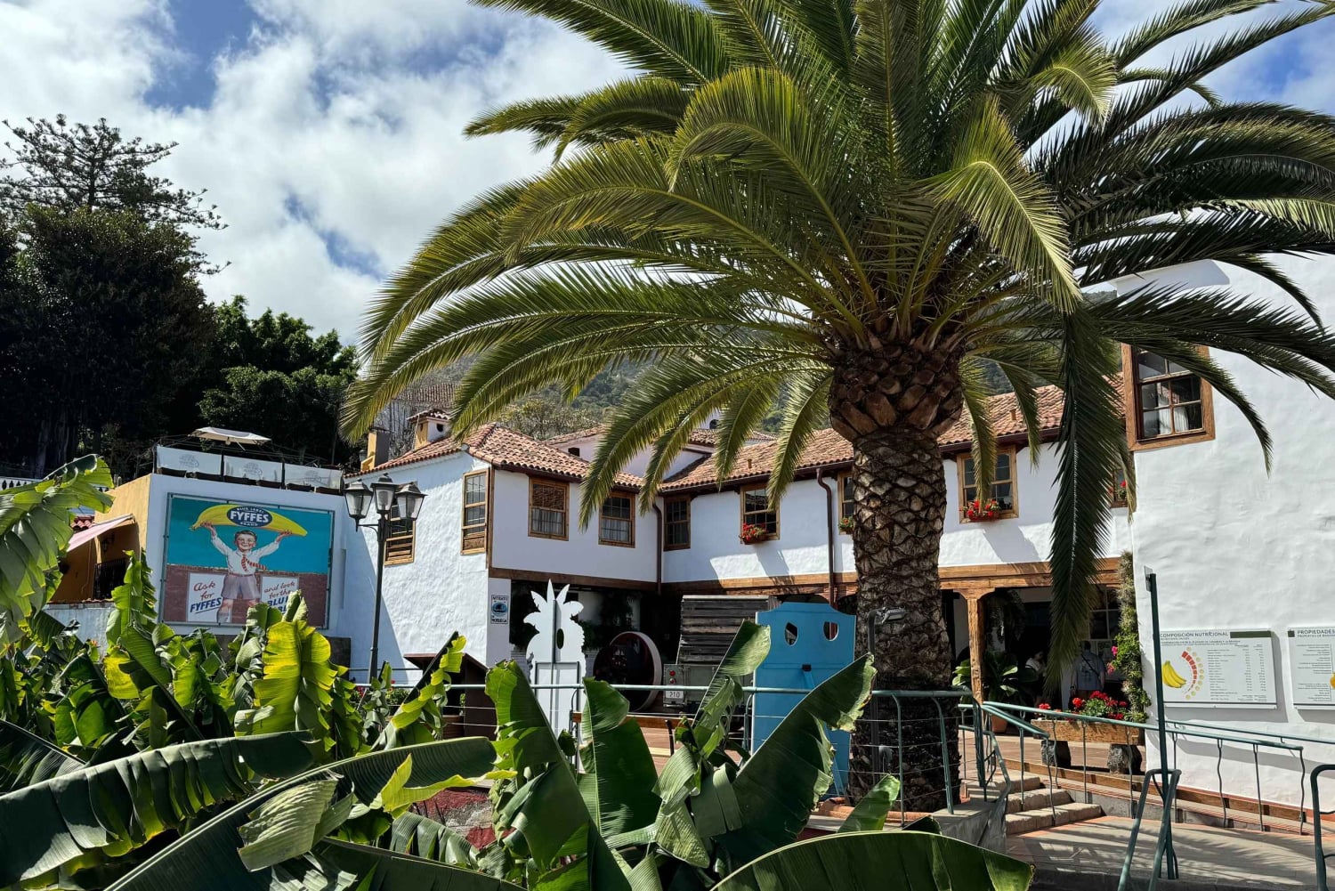 Icod de los Vinos: Casa del Plátano Ticket de entrada