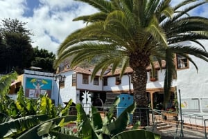 Icod de los Vinos: Casa del Plátano Ticket de entrada