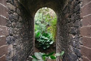 Icod de los Vinos: ingresso para dragoeiro e jardim botânico