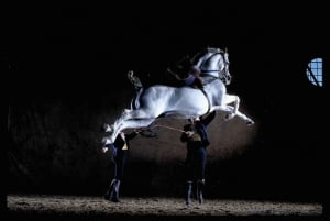 Jerez de la Frontera: Andalusian Horse Dance and Museums