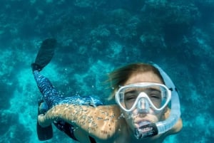 Join us on a snorkel boat tour of Los Cristianos