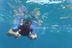Kayak y snorkel con tortugas