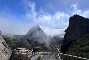La Gomera: Entrébillet til Garajonay Nationalpark og rundvisning