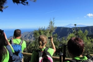 La Gomera: Garajonay National Park Forest Walk