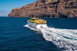 La Gomera: Billete de Ferry Interno de Ida y Vuelta