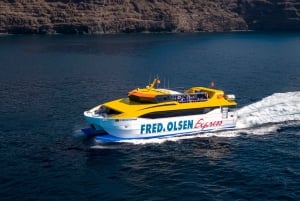 La Gomera: ticket voor interne retourveerboot