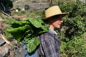 La Gomera Rural Life Experience: Mojo Workshop