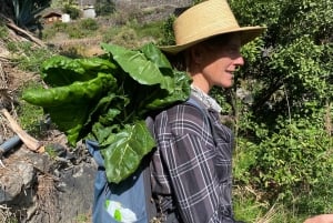 La Gomera Rural Life Experience: Mojo Workshop