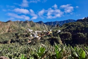 La Gomera: The Tour of the Island