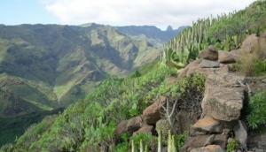 La Gomera Trekking