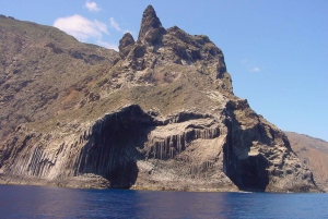 La Gomera: 3 hours Whale Watching on an Oldtimer boat