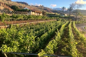 La Gomera: Winery Visit and Tasting Tour