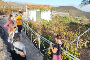 La Gomera: Winery Visit and Tasting Tour