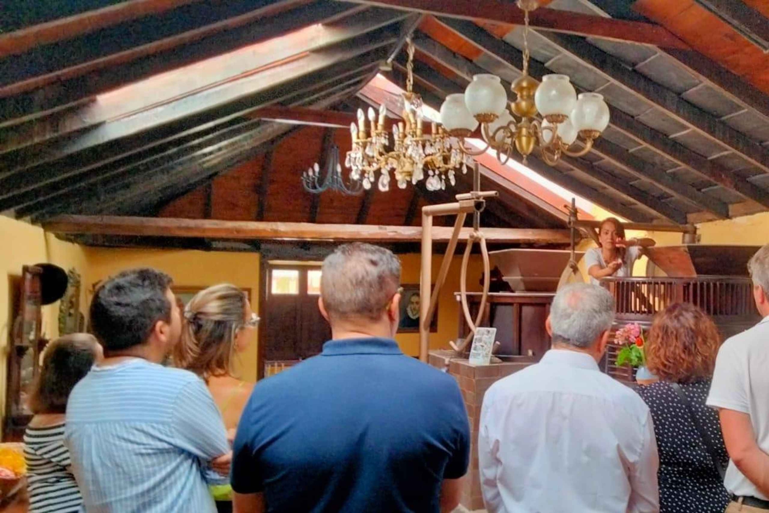 La Orotava: tour guiado con degustación de gofio, Los Molinos de la Villa