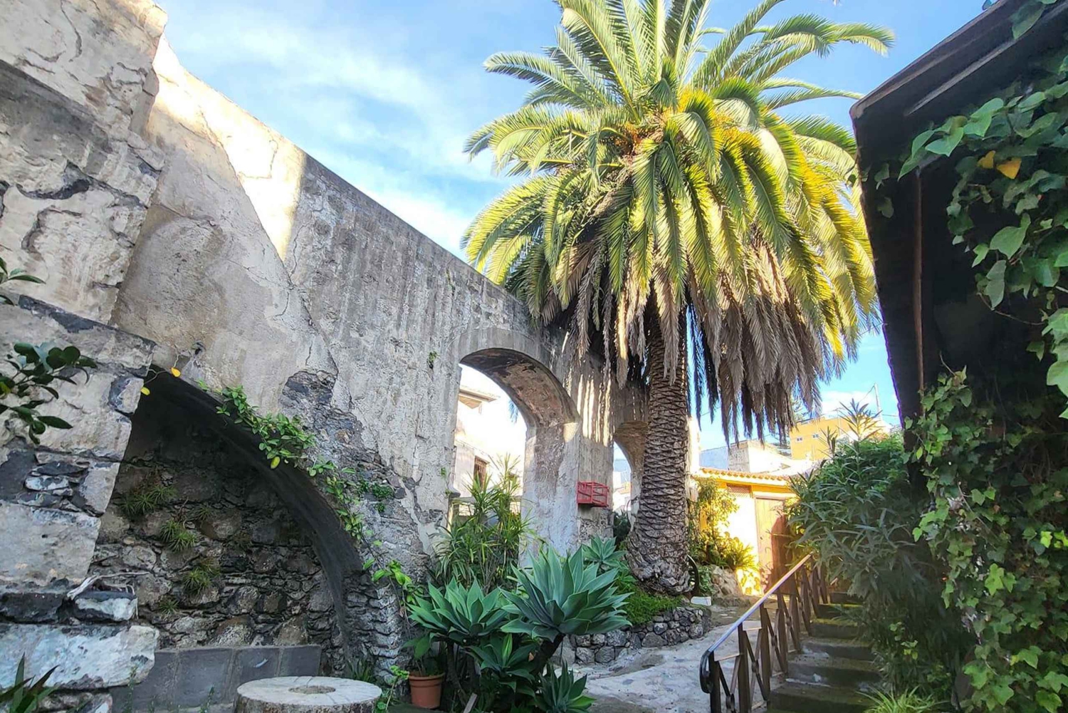 La Orotava: tour guiado con degustación de gofio, Los Molinos de la Villa