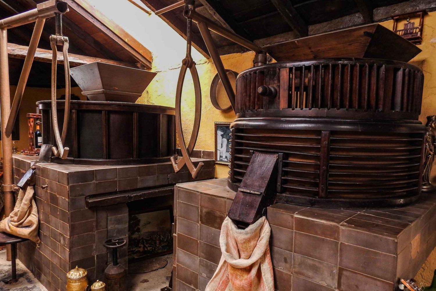 La Orotava: tour guiado con degustación de gofio, Los Molinos de la Villa