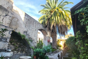 La Orotava: tour guiado con degustación de gofio, Los Molinos de la Villa
