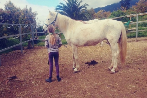 La Orotava: Workshop 'Natural Horsemanship' and Permaculture