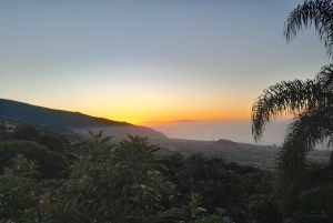 La Orotava: Workshop 'Natural Horsemanship' and Permaculture