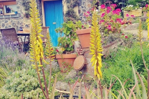 La Orotava: Workshop 'Natural Horsemanship' and Permaculture