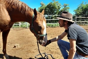 La Orotava: Workshop 'Natural Horsemanship' and Permaculture
