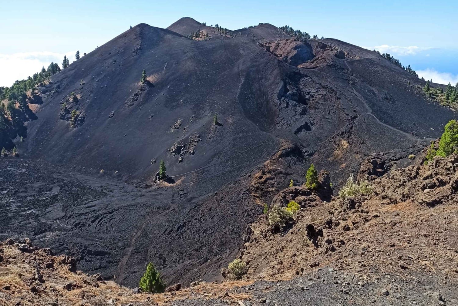ラ パルマ島：南の火山へのガイド付きトレッキング ツアー