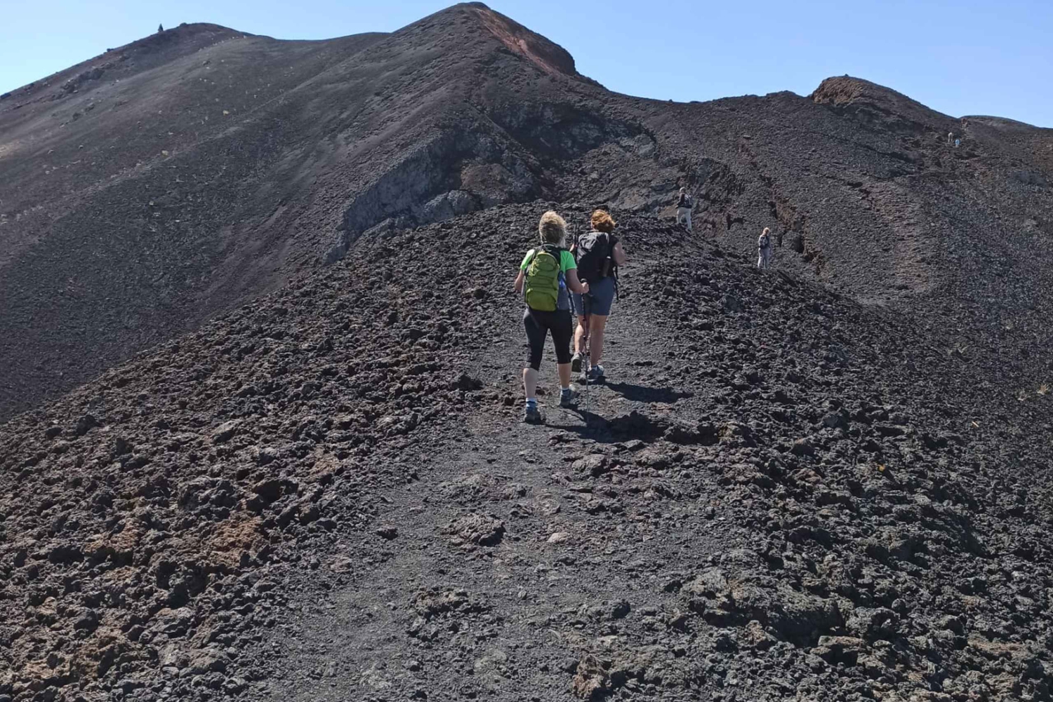 ラ パルマ島：南の火山へのガイド付きトレッキング ツアー