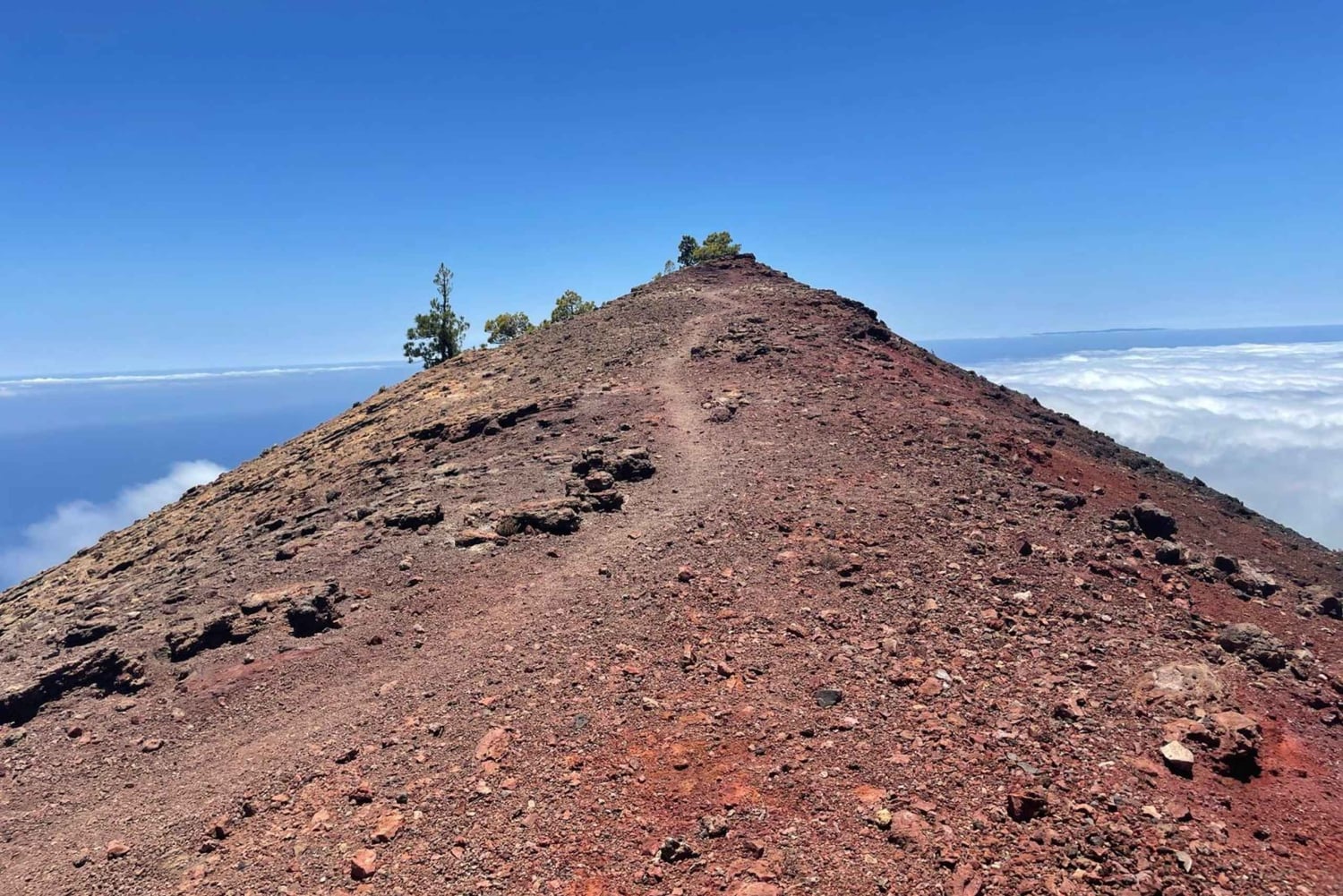ラ パルマ島：南の火山へのガイド付きトレッキング ツアー