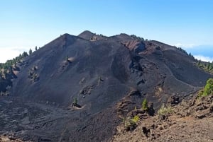 La Palma: Excursión guiada de senderismo a los volcanes del sur