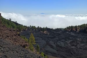 La Palma: Guided trekking tour to volcanoes south