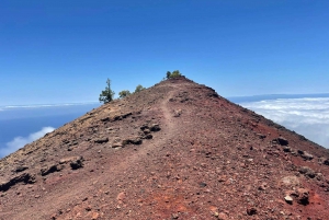 La Palma: Guided trekking tour to volcanoes south