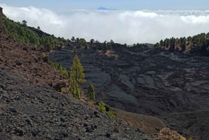 ラ パルマ島：南の火山へのガイド付きトレッキング ツアー