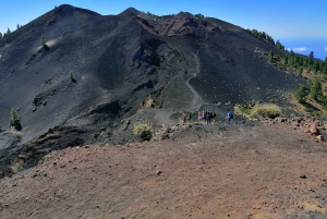 ラ パルマ島：南の火山へのガイド付きトレッキング ツアー