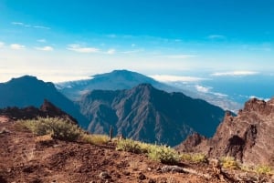La Palma: Høydepunkter på øya - guidet busstur