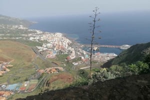 La Palma: Hoogtepunten van het eiland Bus Tour met gids