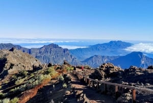 La Palma: Hoogtepunten van het eiland Bus Tour met gids