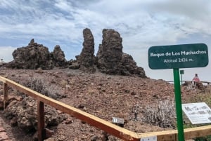 La Palma: Hoogtepunten van het eiland Bus Tour met gids