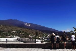 La Palma : visite guidée de l'île en bus