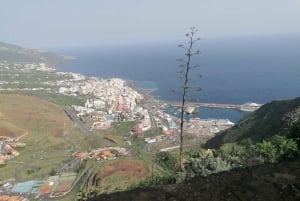 ラ パルマ島：島のハイライト ガイド付きバス ツアー