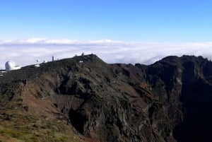 ラ パルマ島：島のハイライト ガイド付きバス ツアー