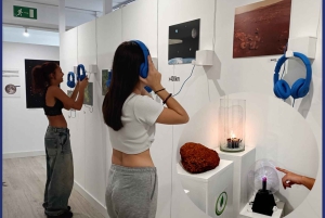 La Palma: Entré til Eyes to the Sky Museum med rundvisning