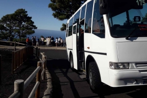 La Palma : South Tour to the volcanoes by bus 4x4