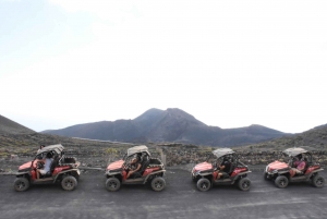 La Palma: Volcano Route Buggy Tour